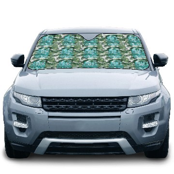 Discover I'm the big brother 2023 pregnancy anouncement boy Car Sun Shades