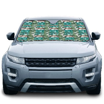 Discover Daycare Teacher Childcare Educator Director Car Sun Shades