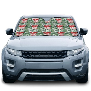 Discover Who Needs Black Friday? Anti Black Friday Car Sun Shades