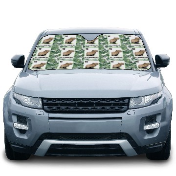 Discover El Carpincho Mexican Capybara Cards Car Sun Shades