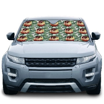 Discover Autumn Forest Sun Car Sun Shades