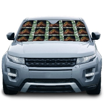 Discover Cannabonsai - Bonsai Tree, Minimalist Cannabis Car Sun Shades