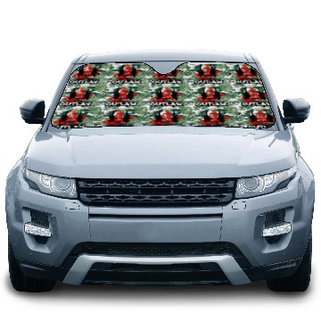 Discover Skull - Bad Ass - Outlaw Car Sun Shades