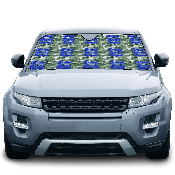 Discover Spring Break Squad Summer Vacation Spring Break Car Sun Shades