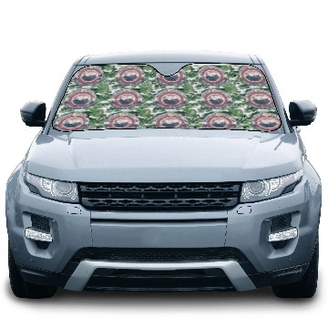 Discover Shenandoah National Park Virginia US Hiking Car Sun Shades