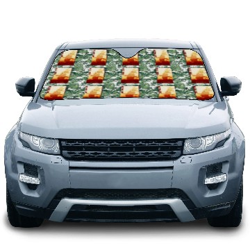 Discover Breckenridge Colorado wild west town Car Sun Shades