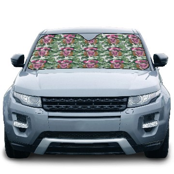 Discover Mama Knows Best Moms Club Car Sun Shades