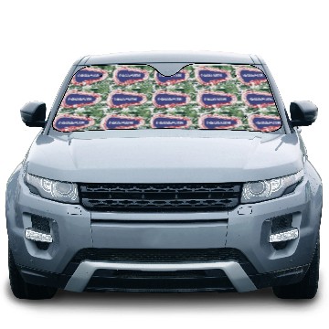 Discover Squamish Rock Climbing Carabiner Car Sun Shades