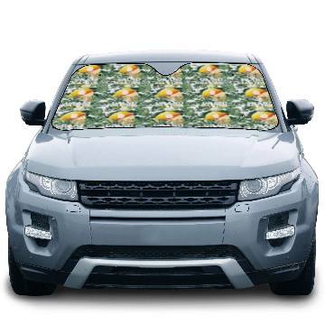 Discover Grand Canyon Eighties Car Sun Shades