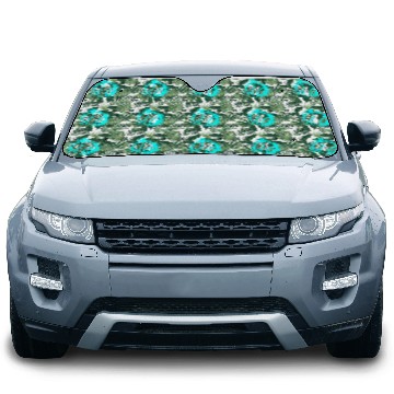 Discover Softball Distressed Ball Teal Black Car Sun Shades