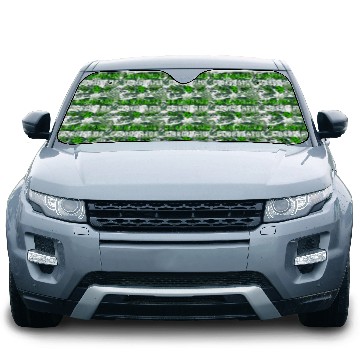 Discover Shenanigans Coordinator Saint Irish Pats St Car Sun Shades