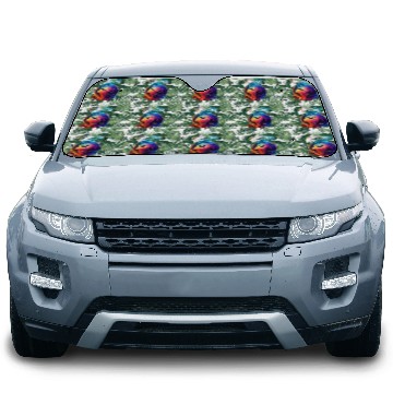 Discover Save the Planet Nature Environment Earth Car Sun Shades