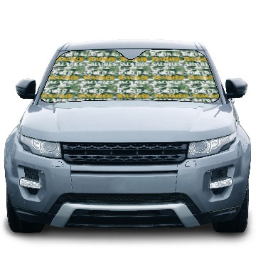 Discover Teacher Lower Teacher Salaries Cool nostalgia Car Sun Shades