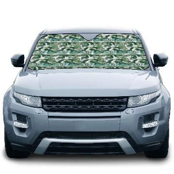 Discover Occupational Therapy Car Sun Shades