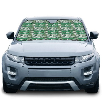 Discover Teacher Biology Science Biologist nostalgia Car Sun Shades
