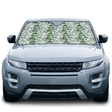 Discover World s Most Coolest And Awesome Software Engineer Car Sun Shades