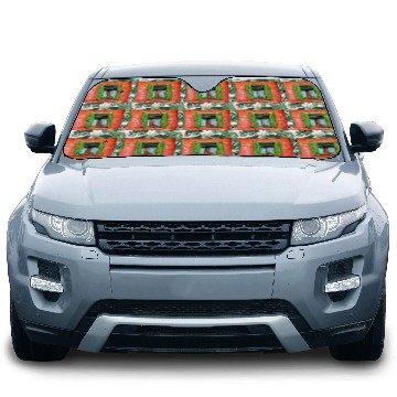 Discover Windows of Venice Italy 9657 Car Sun Shades