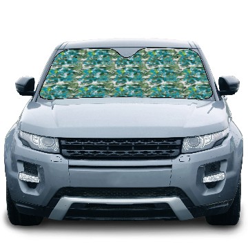 Discover Earth Day Let S Save The Earth Car Sun Shades