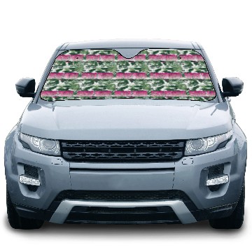 Discover Mental Health Matters Poppins Barbiecore Pink Car Sun Shades