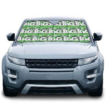 Discover Big Brother Car Sun Shades for Toddler