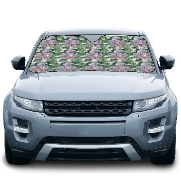 Discover San Antonio Coolest Galaxy Car Sun Shades