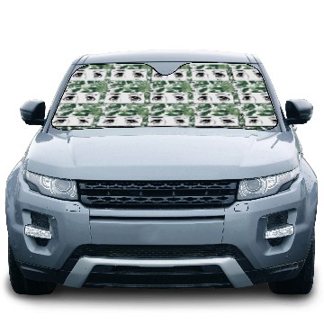 Discover Manga Anime Girl Eyes Car Sun Shades