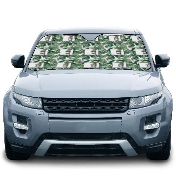 Discover Panda Doodle Chinese Hanzi Panda Bear Friend Car Sun Shades