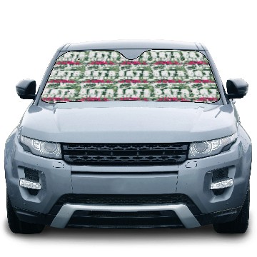 Discover Data Scientist Girl Joke Analyst Science Statistic Car Sun Shades