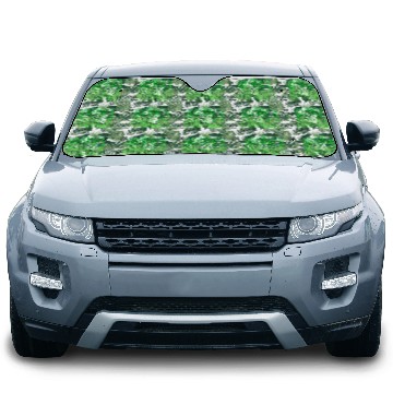 Discover Saint Patrick's Day Boston Massachusetts Car Sun Shades