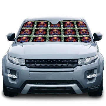 Discover You don't need money to come with me By Jonathan P Car Sun Shades