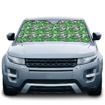 Discover Saint Patrick's Day New Orleans Louisiana Car Sun Shades