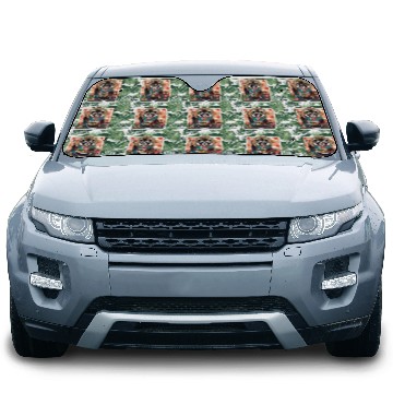 Discover Tanuki Autumn Ramen Car Sun Shades