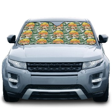 Discover Dragon Boat Paddle Hard Party Hard Car Sun Shades
