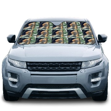 Discover Virgin Mother Mary Praying on a Starry Night Car Sun Shades