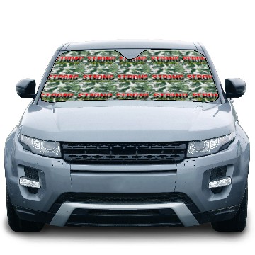 Discover Stay Strong Never give Up Car Sun Shades Print