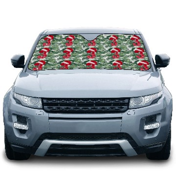 Discover Third Christmas Time - 3 Years - Number Three Car Sun Shades