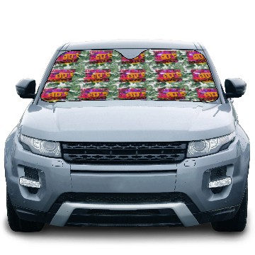 Discover Take me back to the 90's Parties Car Sun Shades