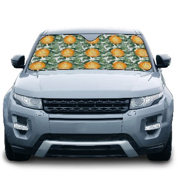 Discover I'm A Math Teacher Of Course I Have Problems Car Sun Shades