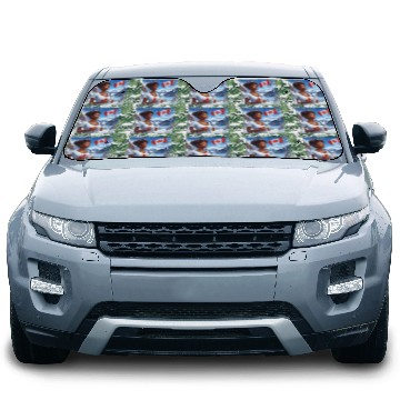 Discover Canadian Winter Snow in Banff Canada Car Sun Shades