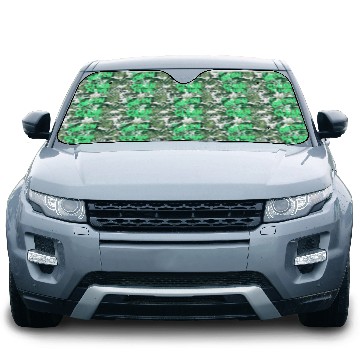 Discover A Green Planet Is A Clean Planet Car Sun Shades