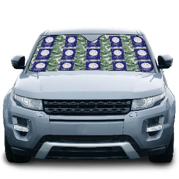 Discover Sleepy Moon - Sweet Dreams Little One Car Sun Shades