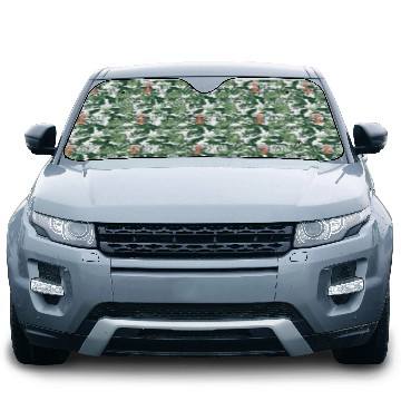 Discover Pompeii Fun Run Italian Volcano Geeks Car Sun Shades