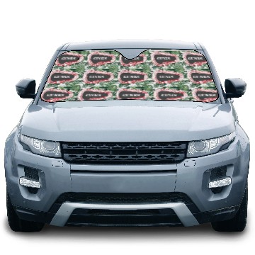 Discover Gunks Rock Climbing Carabiner Car Sun Shades