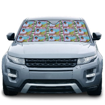 Discover Walter Williams - Nice & Sexy (Valentine's Day) Car Sun Shades
