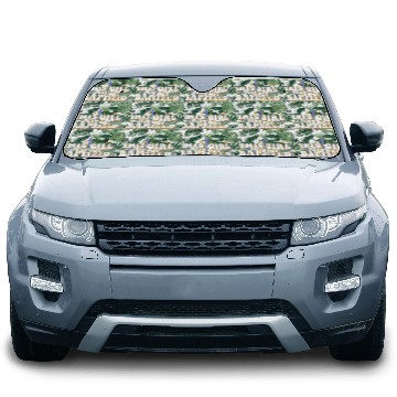 Discover This Girl Just Got Baptized Christian Religious Car Sun Shades