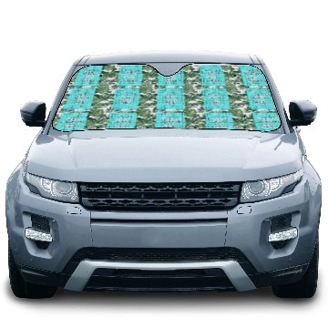 Discover Embrace The Journey Trust The Process Car Sun Shades