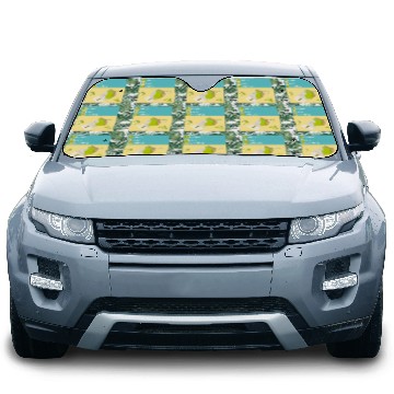 Discover Summer means swimming beach scene Car Sun Shades