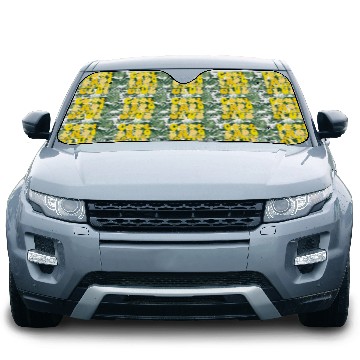 Discover Cool Endometriosis Warriors Club Car Sun Shades