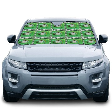 Discover Irish I was a guinea pig Car Sun Shades