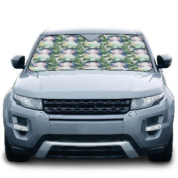 Discover Baby Elephant Ride Up To Sky Using Cloud Excited Car Sun Shades